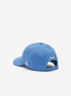 Everyday Cooper Beaver Cap