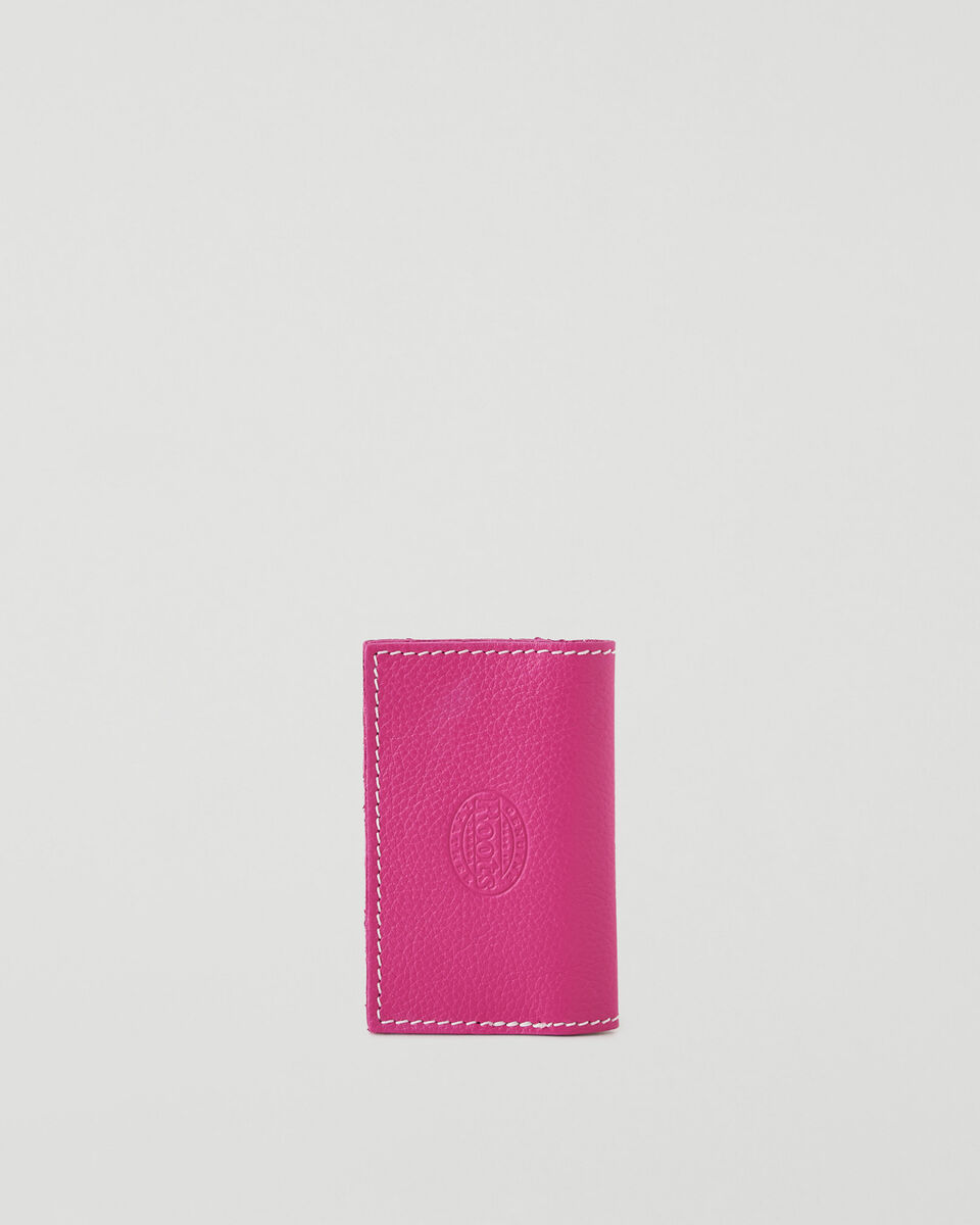 Upcycle Card Holder Cervino