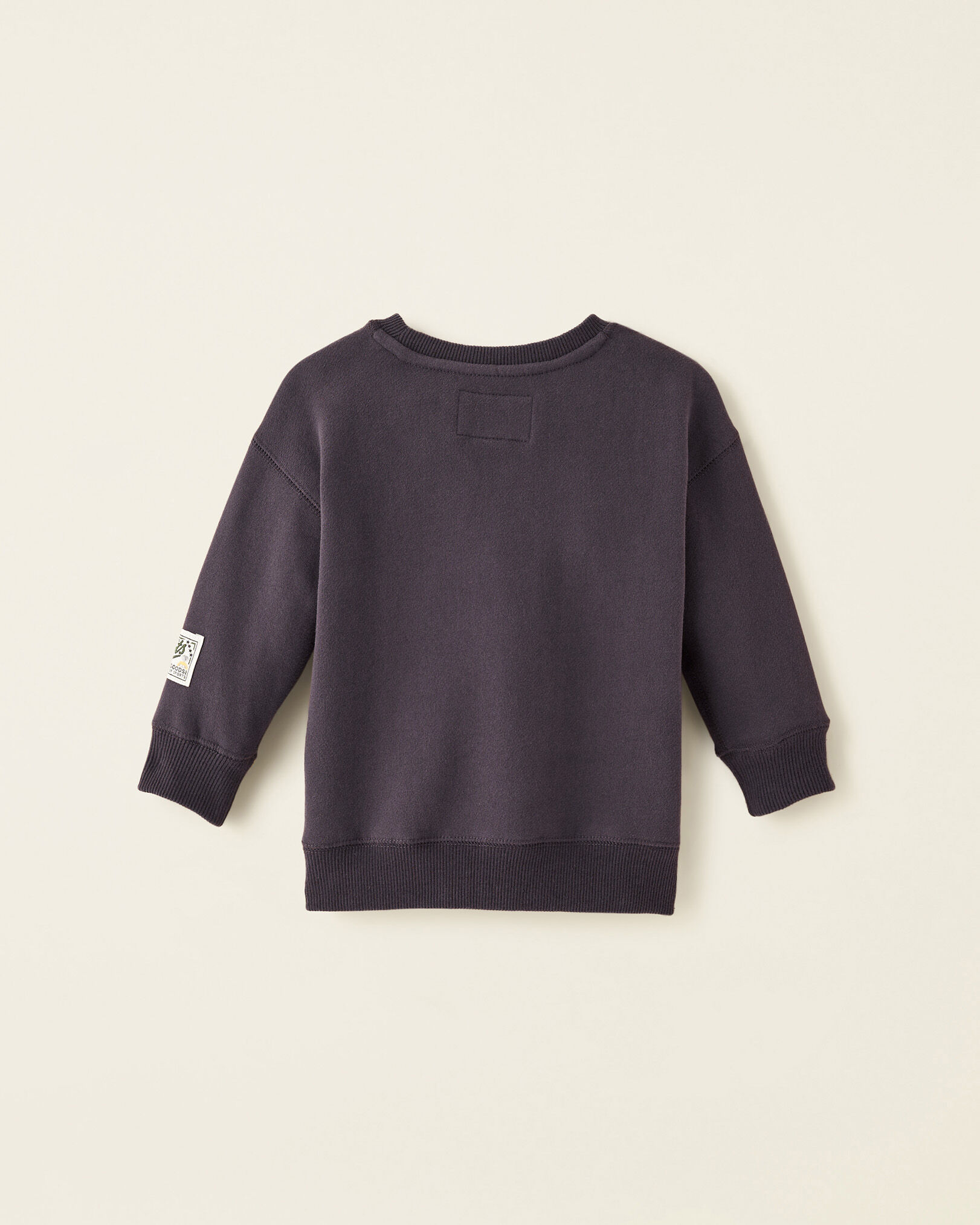 Baby Sporting Goods Relaxed Crew Sweatshirt