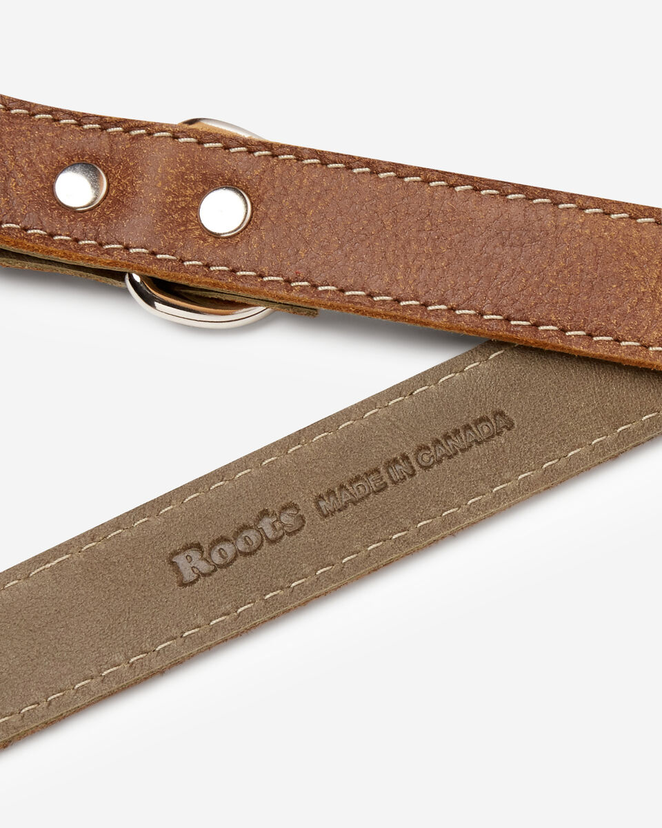 Leather Dog Leash