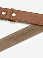 Leather Dog Leash