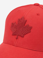 Modern Leaf Baseball Cap