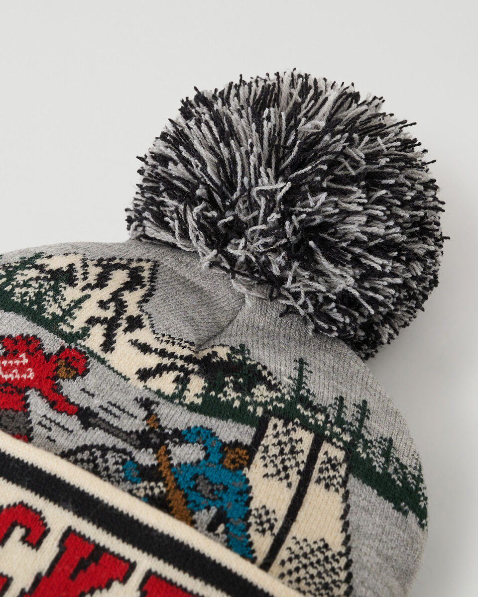 Toddler Hockey Toque