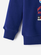 Toddler Alpine Patches Kanga Hoodie