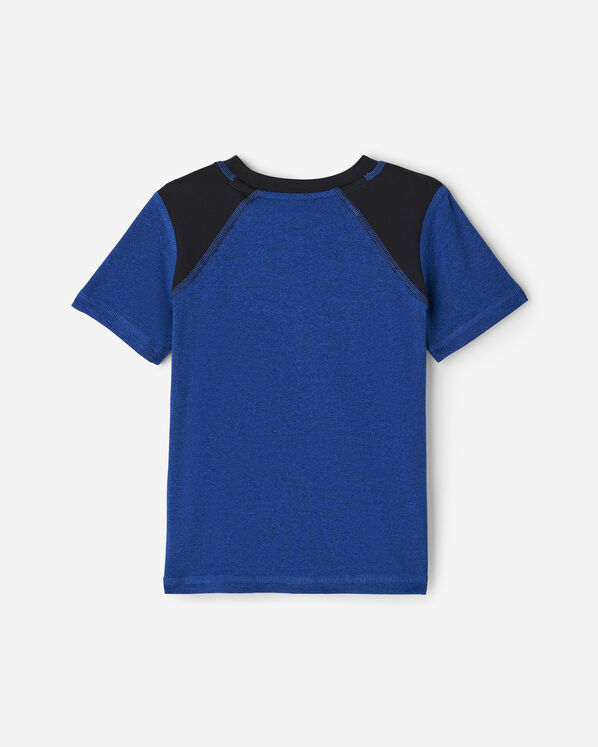 Toddler Boys Active Blocked T-Shirt
