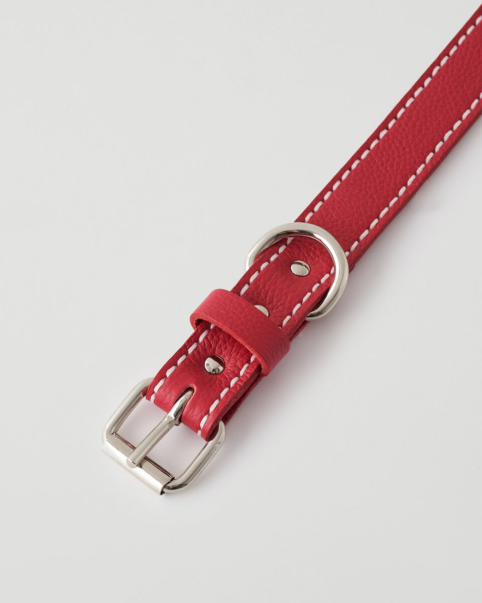 Large Dog Collar Cervino