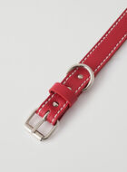 Large Dog Collar Cervino