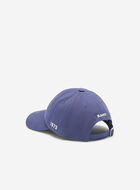 Everyday Cooper Beaver Cap