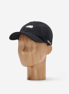 Everyday Cooper Beaver Cap