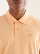 Polo Journey