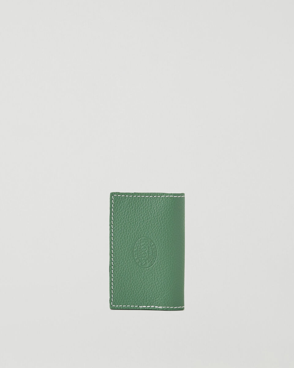 Upcycle Card Holder Cervino