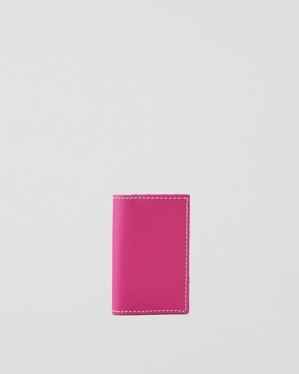 Upcycle Card Holder Cervino
