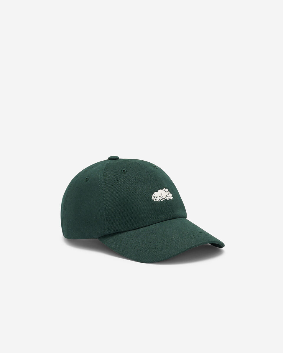 Everyday Cooper Beaver Cap