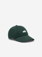Everyday Cooper Beaver Cap