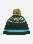 Tuque Cabane Roots