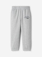 Toddler Athletics Department Sweatpant