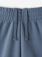 Summer Cloud Cargo Sweatshort 2.5 Inch