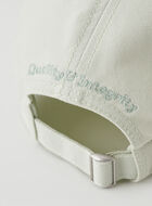 Roots Baseball Cap