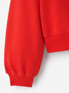 Chandail à demi-glissière Alpine Goods