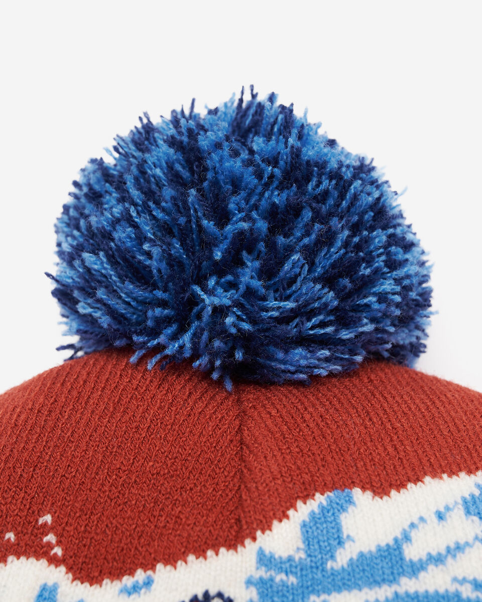 Landscape Intarsia Toque