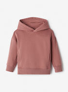 Toddler One Hoodie