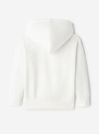 Toddler Athletics Department Hoodie