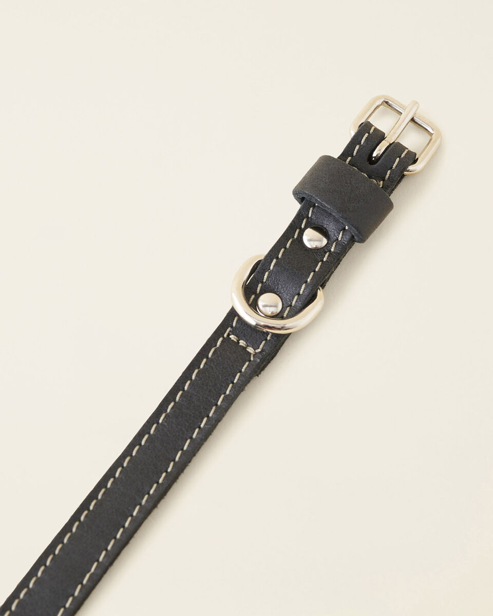 Small Leather Dog Collar