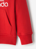 Toddler Northern Athletics Hoodie