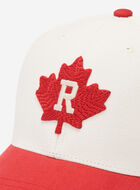 Casquette de baseball Feuille moderne Roots