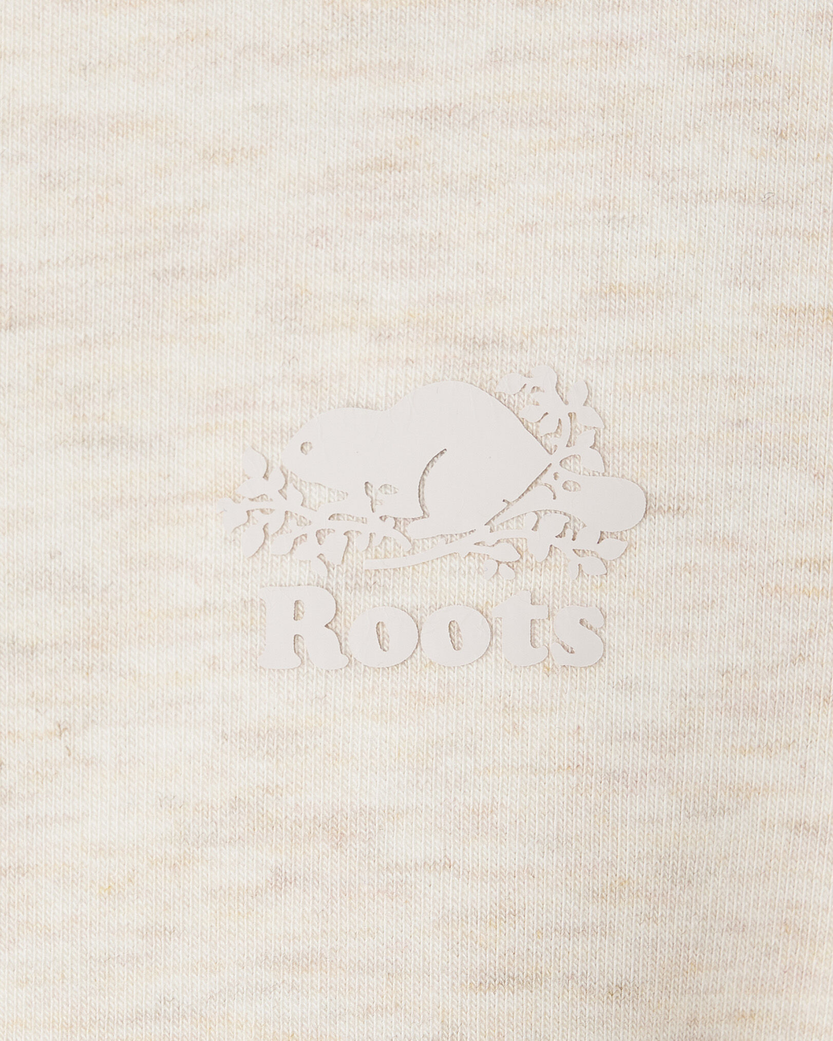 Chandail à capuchon et glissière Roam