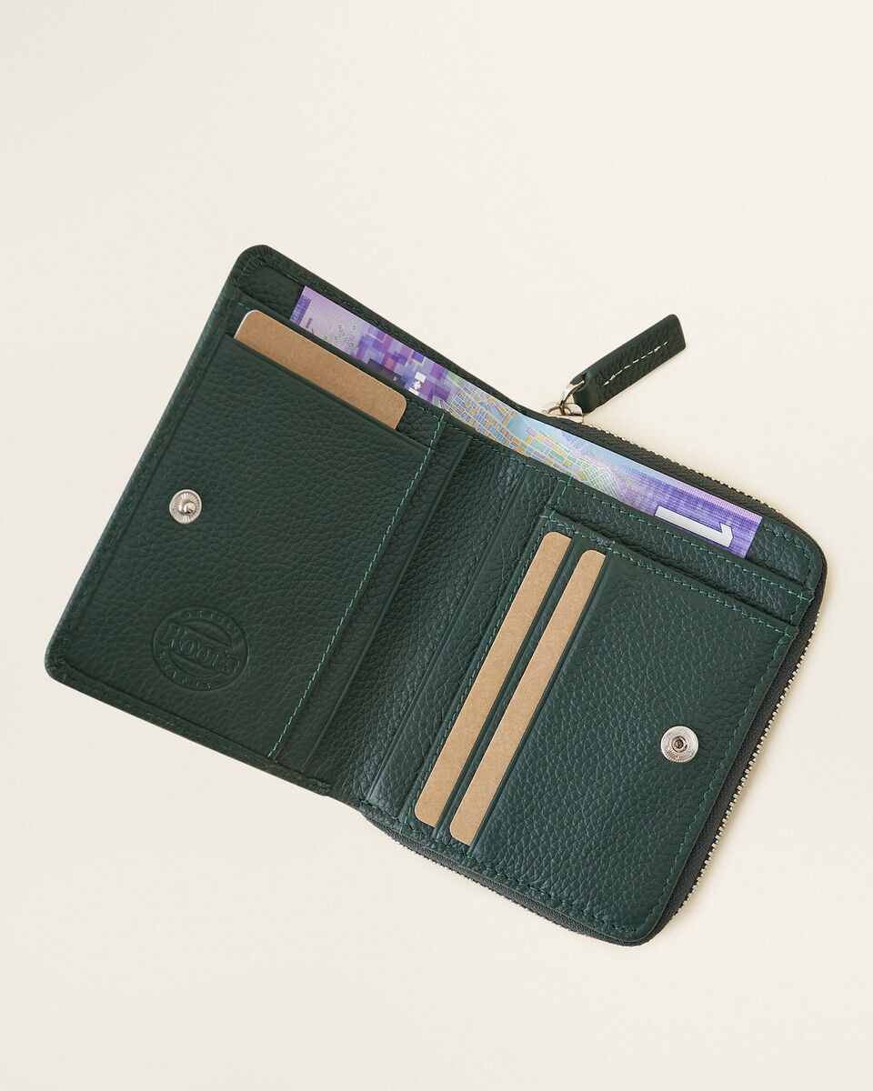 Small Zip Around Clutch Cervino