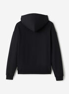 Chandail à capuchon Michigan Roots