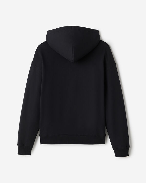 Chandail à capuchon Michigan Roots