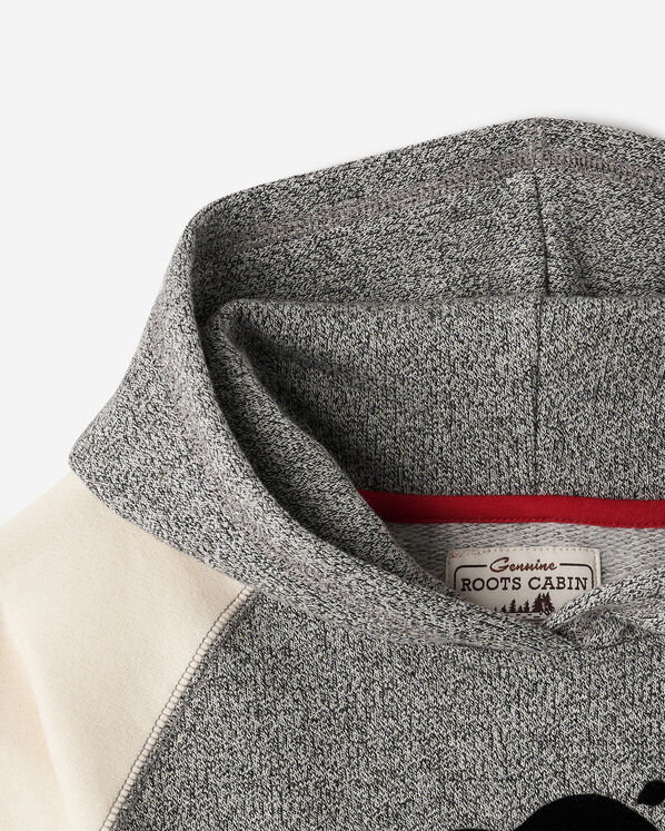 Girls Cabin Hoodie Dress