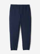 Horizon Nylon Jogger