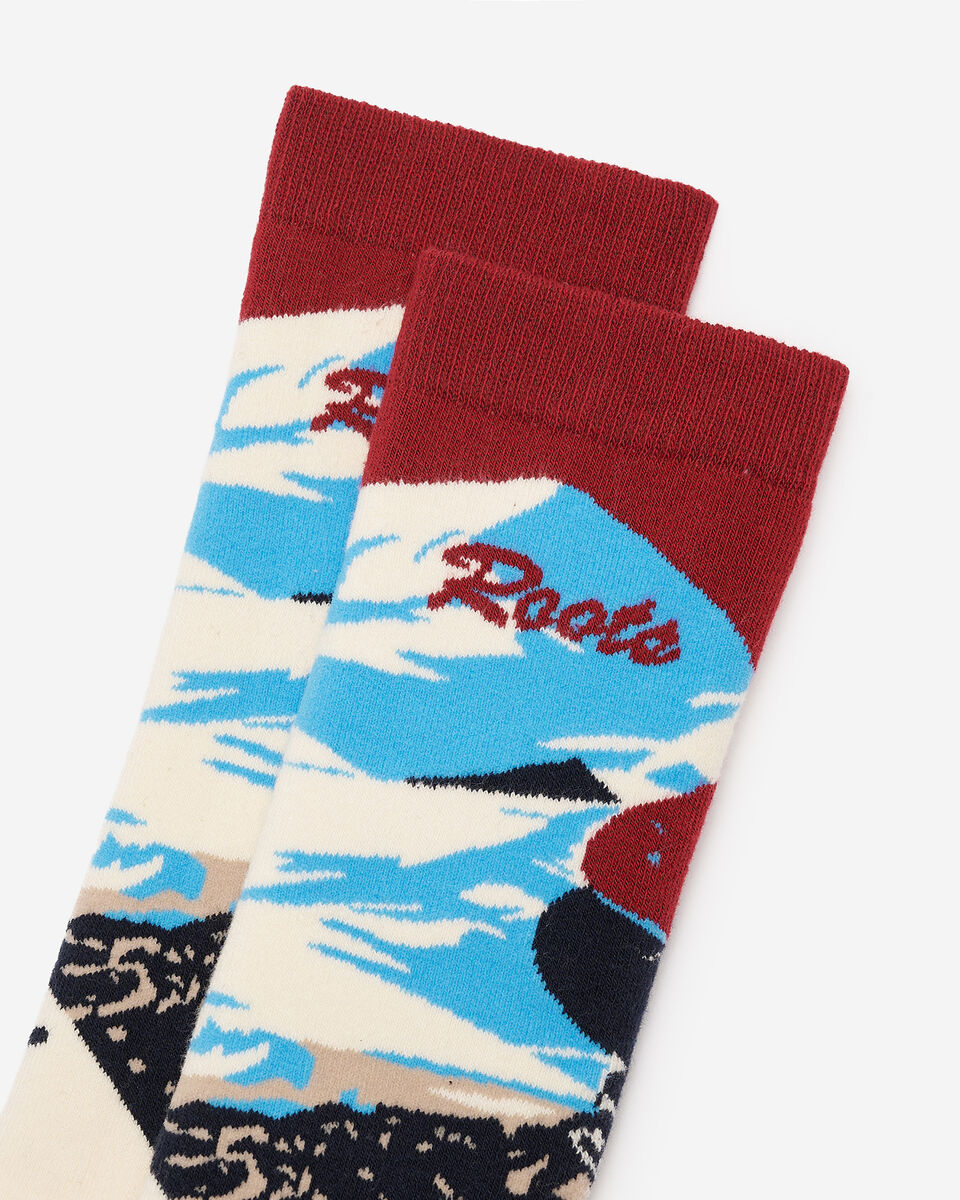 Adult Landscape Intarsia Sock