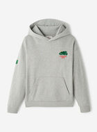 Canada Dry® X Roots Hoodie