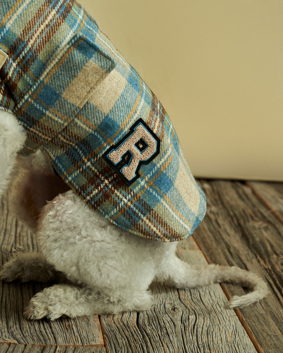 S Moon Plaid Dog Jacket Leather Accessories Roots