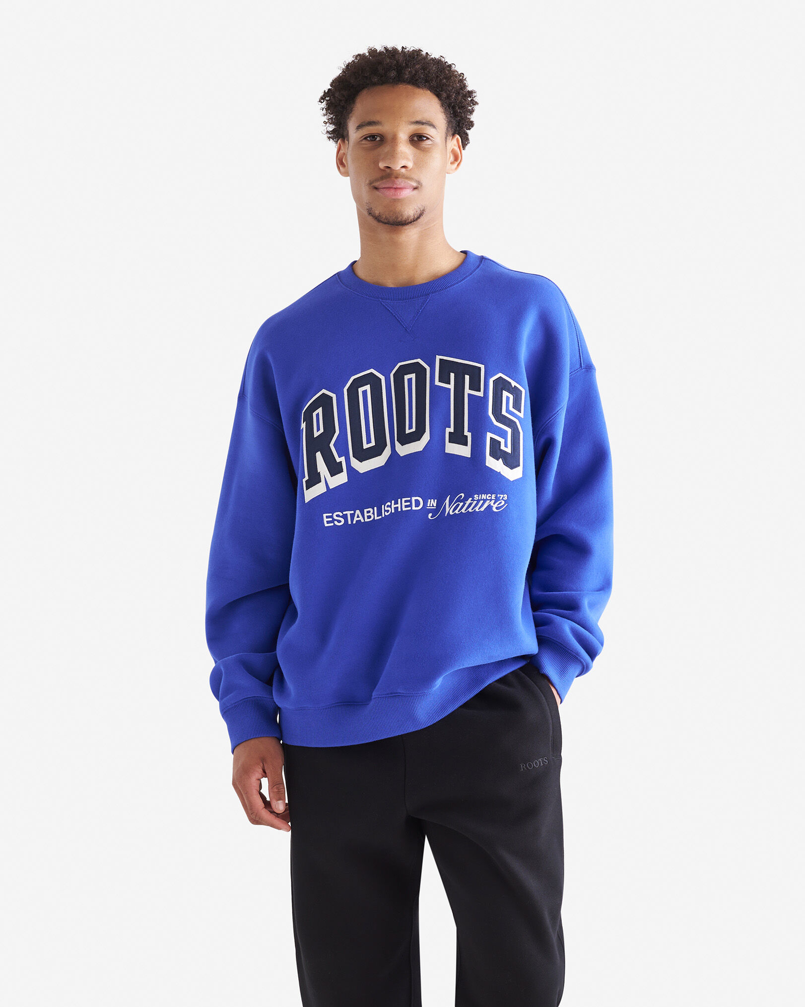 Blue roots sweater cheap