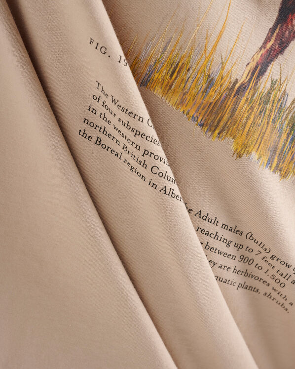 Mens Into The Wild T-Shirt