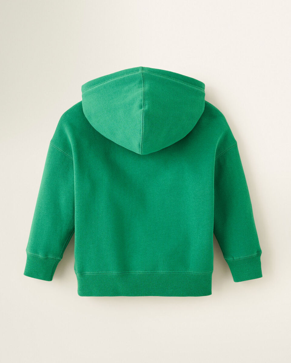 Toddler Outdoor Athletics Hoodie
