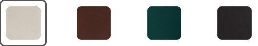 Color Option 1