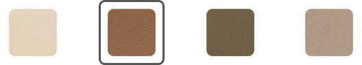 Seasonal Color Option 1