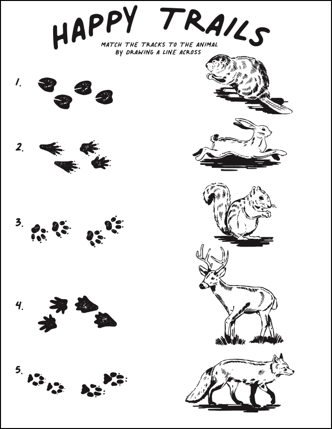 Nature Club Activities Roots