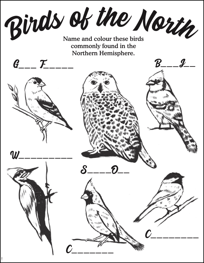 Nature Club Activities Roots