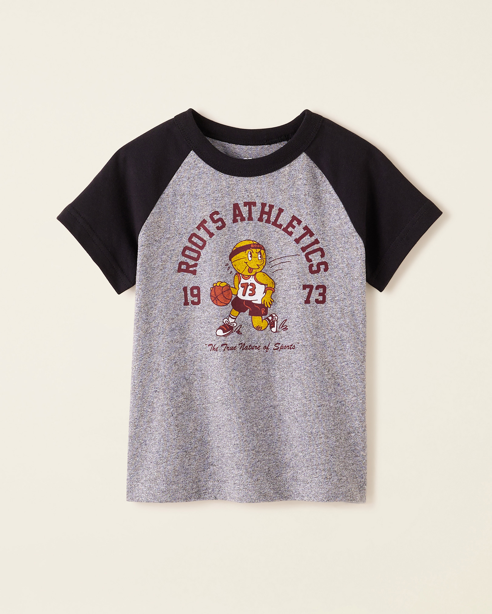 Roots Toddler Boy's Nature Of Sport T-Shirt in Salt/Pepper