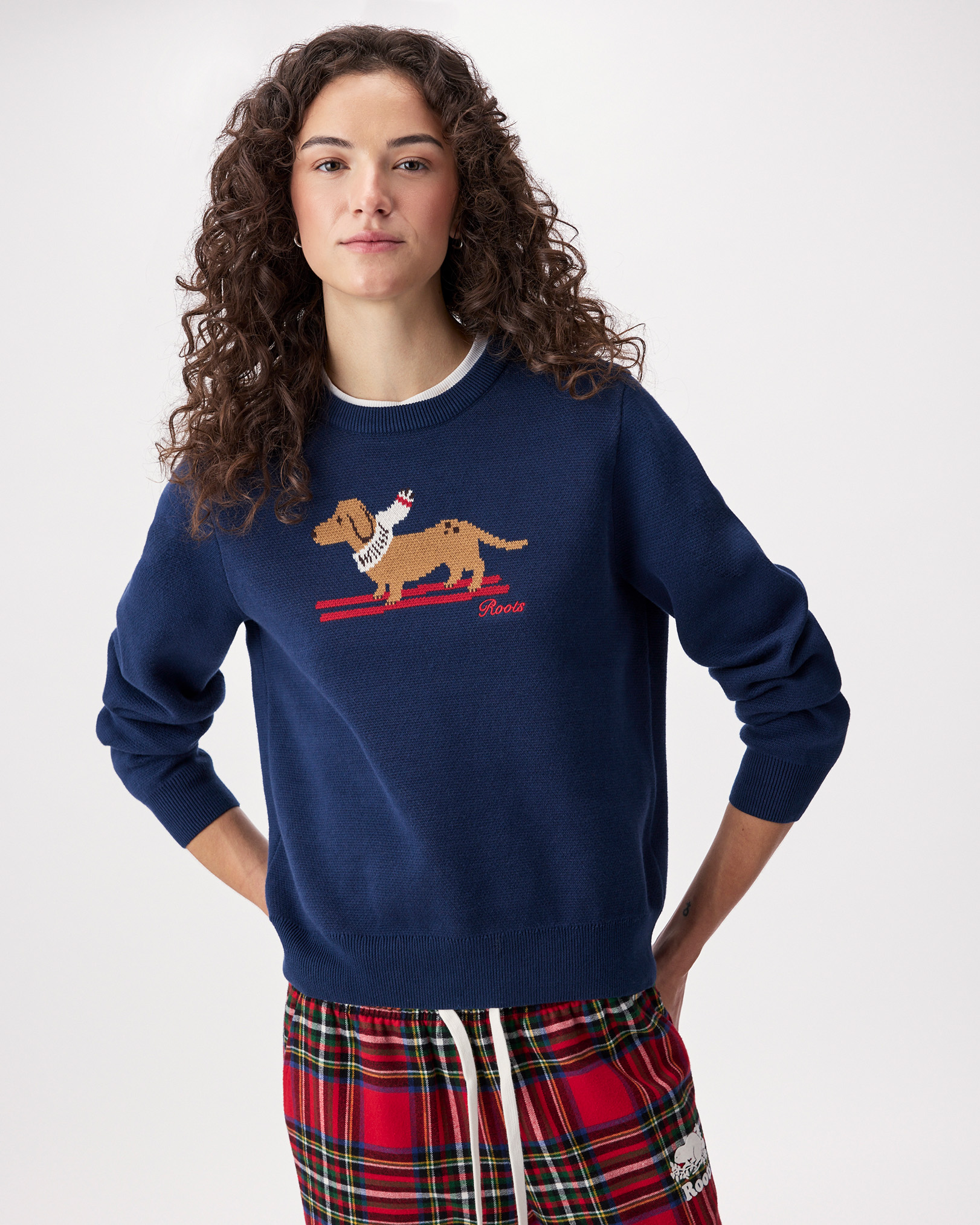 Roots Animal Knit Crew in Navy Blazer Blue