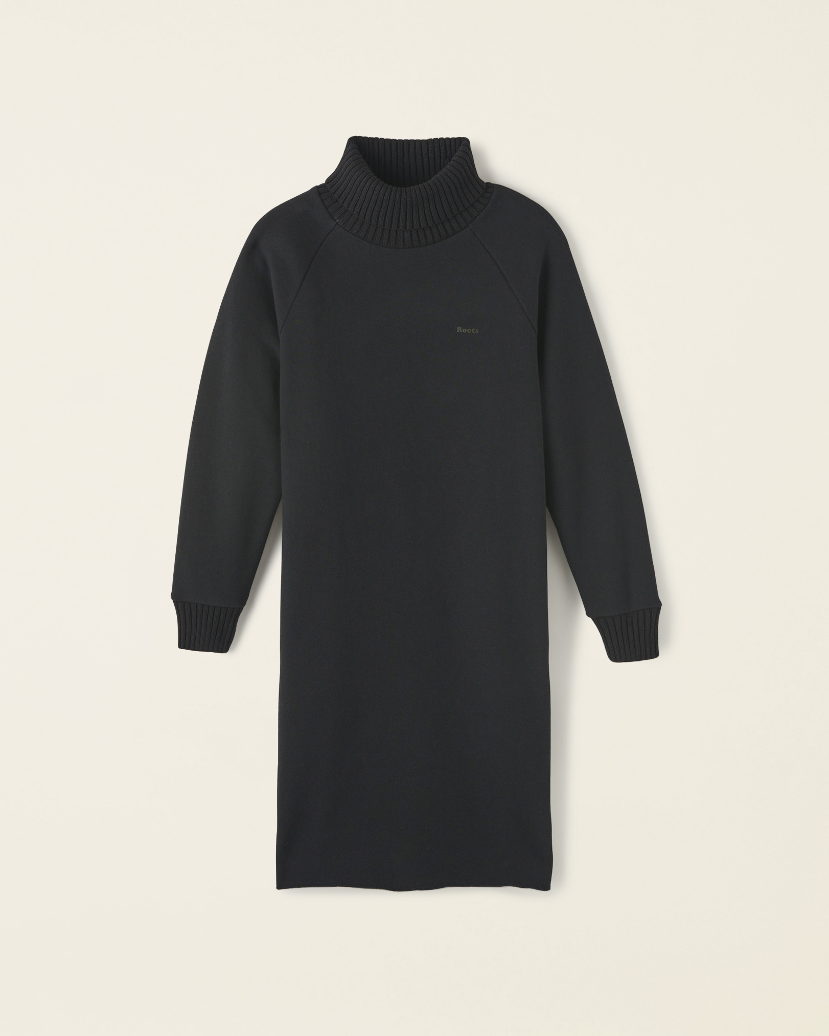 Roots Hybrid Turtleneck Dress in Black