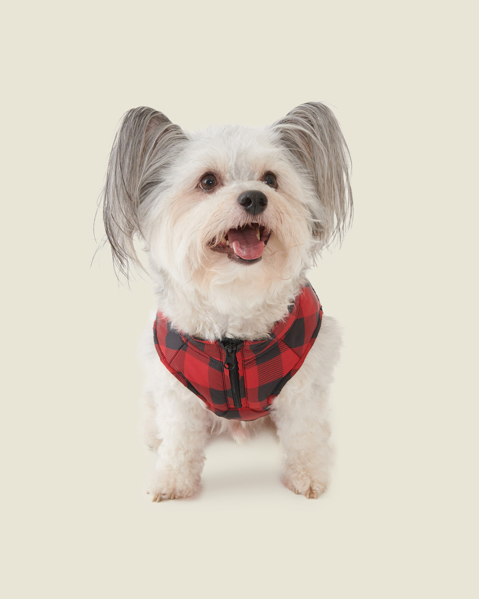 Roots Pooch Park Plaid Sherpa Hybrid Shirt in Cabin Red